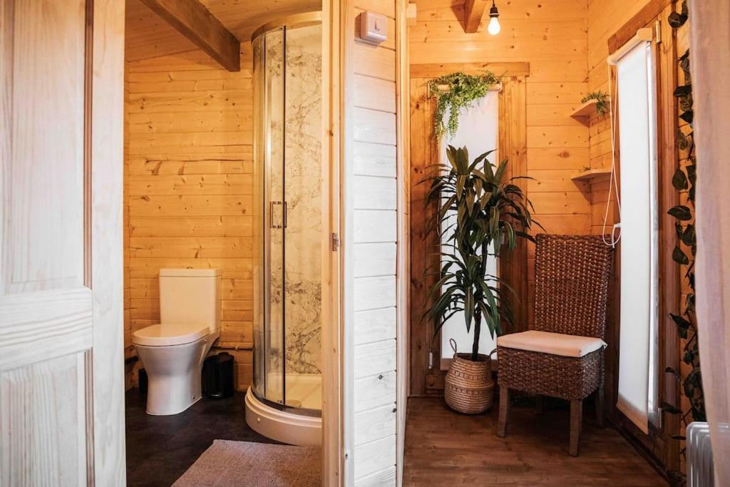 קולפורד Summerhouse @ 73 מראה חיצוני תמונה
